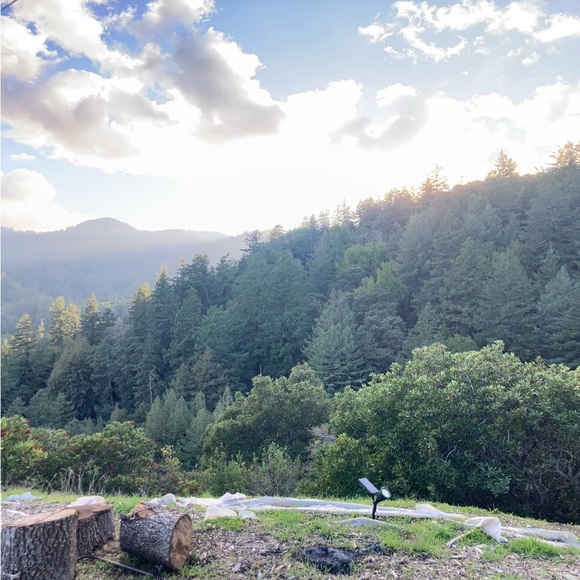 Meet your Posher, Jaclyn - Picture 2 of 2